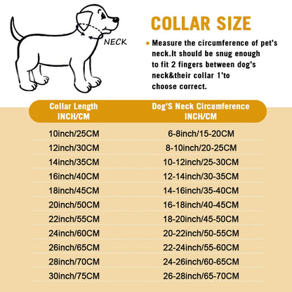 Luxury Gold Stainless Steel Dog Collar