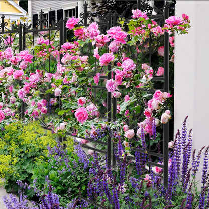 Metal Black Garden Trellis