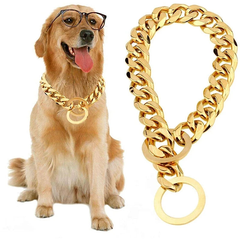 Luxury Gold Stainless Steel Dog Collar